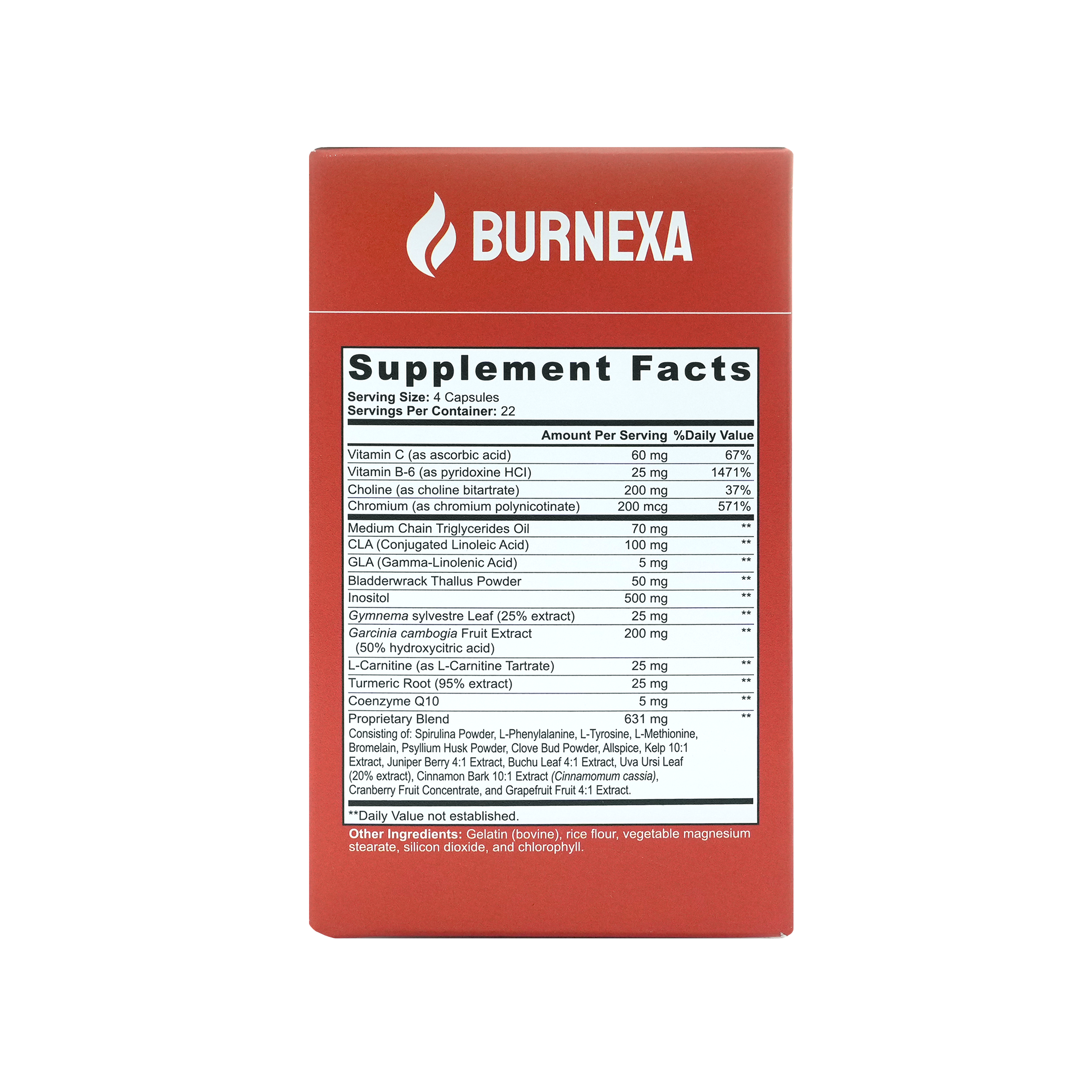 Burnexa Day Time Fat Burner With MCT Oil